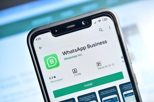whatsapp business